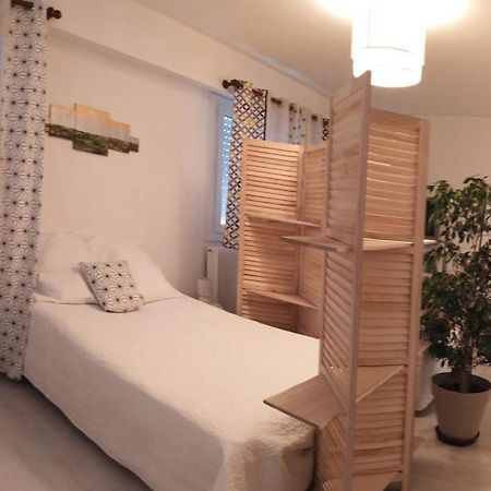 Grand studio, super équipé, 2 pas du centre-ville Montbéliard Extérieur photo